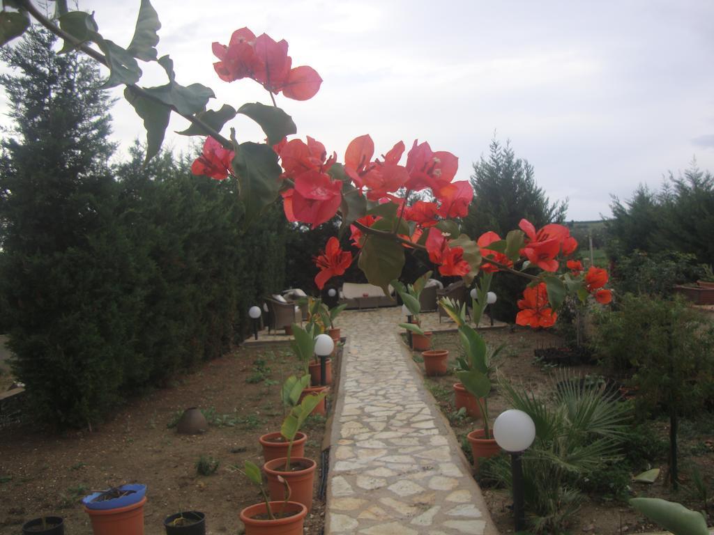 Villa Delle Palme Delfina Trapani Dış mekan fotoğraf