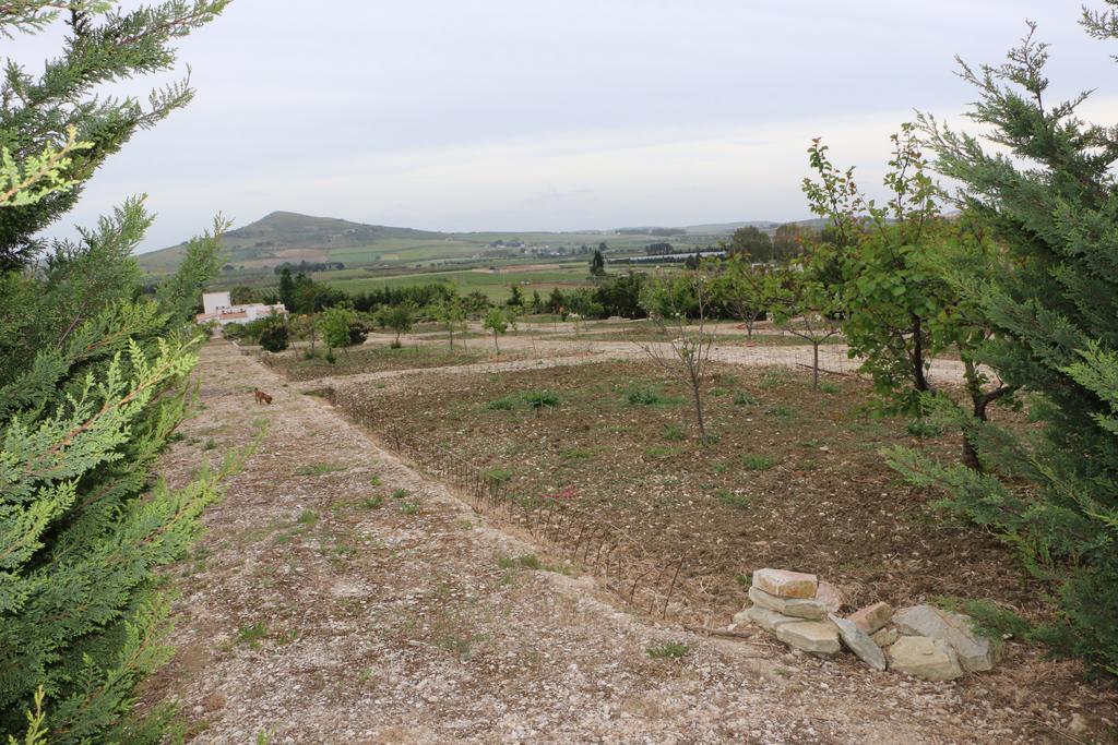 Villa Delle Palme Delfina Trapani Dış mekan fotoğraf