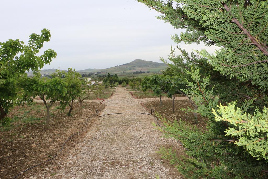 Villa Delle Palme Delfina Trapani Dış mekan fotoğraf