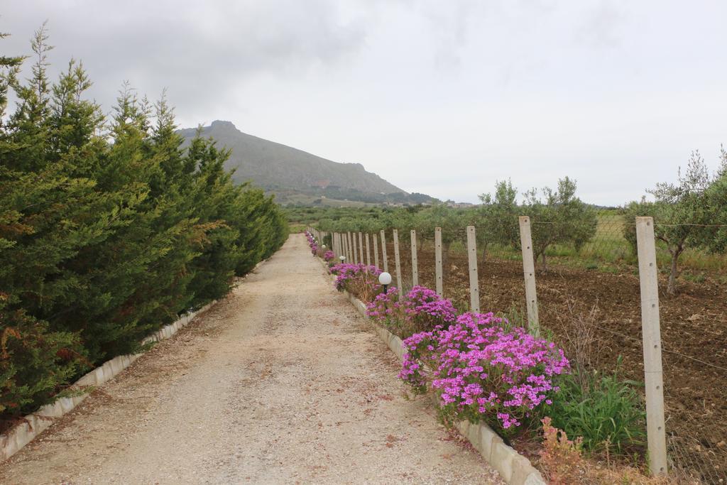 Villa Delle Palme Delfina Trapani Dış mekan fotoğraf