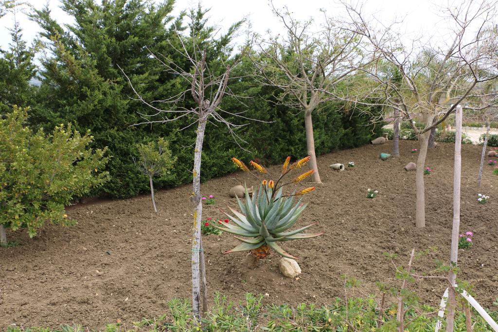 Villa Delle Palme Delfina Trapani Dış mekan fotoğraf